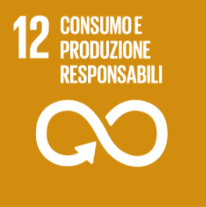 sdgs 12